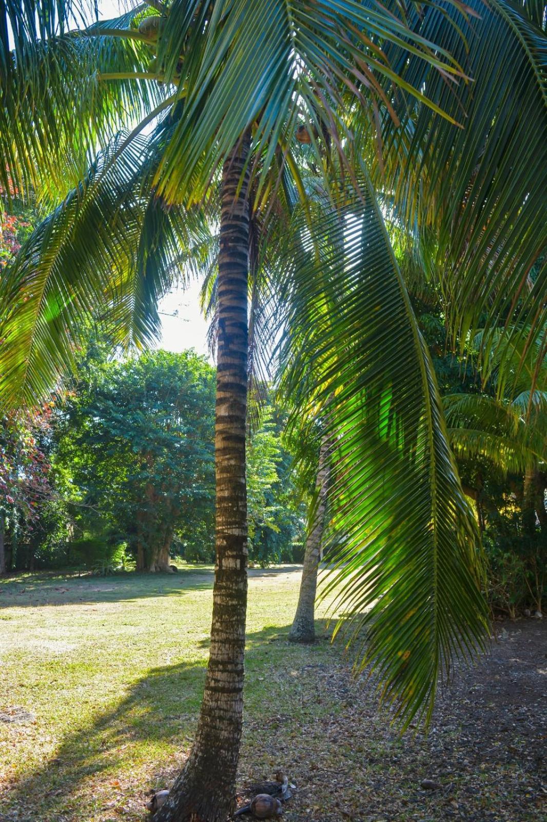 Wolmar Flic En Flac 3 Bedroom Beach Villa Exterior foto